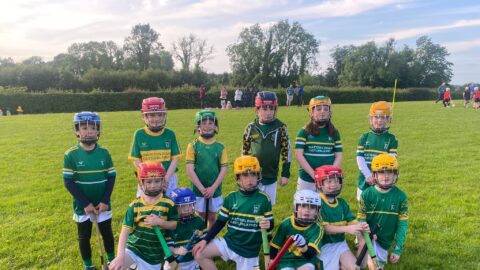 U8/U10 Monaghan Harps Blitz 12th June 2024