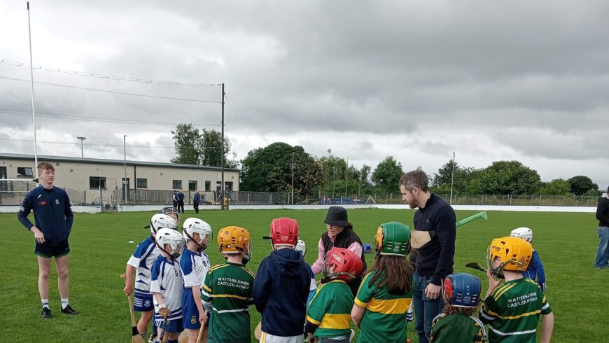 Castleblayney Hurling Club Notes 1st July 2024