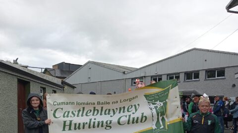 Hurlers at Muckno Mania Parade