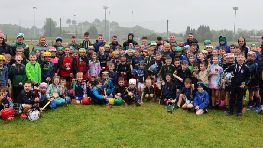 Another Successful Summer Camp for Castleblayney Hurling